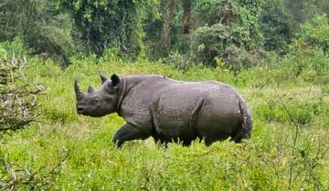 Nairobi Highlights: 3-Day Wildlife & City Escape