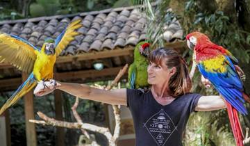Escapade à la découverte des incontournables du Honduras – 5 jours / 4 nuits