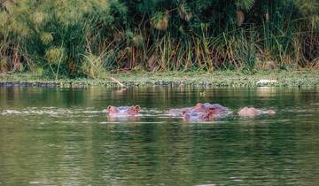 De 18 à 35 ans : l'Afrique de l'Est, une aventure épique : gorilles, chimpanzés et safaris (19 destinations)