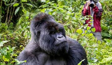 Évasion à São Tomé : 9 jours à la découverte d'une île tropicale