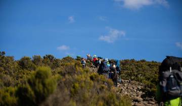 Ascenso al Kilimanjaro por la ruta de Umbwe en 6 días | La ruta más exigente hasta el pico Uhuru