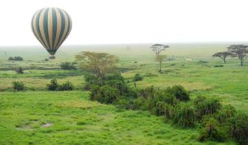 9-daagse safari in Tanzania met de Big Five & vakantie op Zanzibar | Serengeti, Ngorongoro, Tarangire & tropisch strandavontuur-rondreis