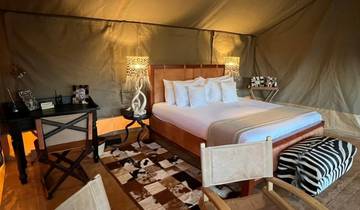 12 Days Tanzania Wildlife & Zanzibar Paradise | Serengeti, Ngorongoro, Tarangire & Zanzibar Beach Escape Tour