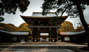 Japan: Osaka, Kyoto, Mount Fuji & Tokyo