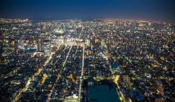 De Tokyo à Osaka : des villes aux néons et une campagne paisible