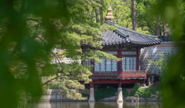 De Séoul à Tokyo : les incontournables de la Corée et du Japon