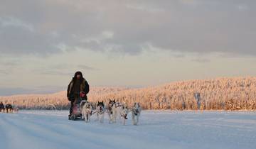 Finland Wilderness Essentials (Igloo) - 3 dagen