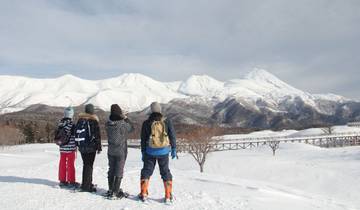 Le Japon en pleine action : Hokkaido en hiver, de la banquise aux onsen