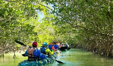 6-Day Florida Keys Multi-Adventure Bike & Explore Tour