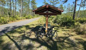 6-Day Florida Coast-to-Coast Trail Bike Tour