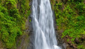 Dominica 3-Day Tour | Waterfalls, Rainforests & Nature Escape