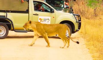 3-tägige Krüger-Safari ab Johannesburg Rundreise