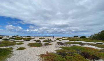 Journeys: From the Amazon to the Galápagos National Geographic Tour