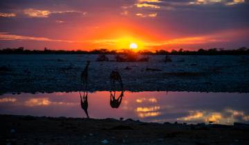 Southern Africa Encompassed: Bush Camps & Wildlife Spotting Tour