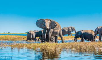 L\'appel de l\'Afrique - Savane, delta et piège tonitruant circuit
