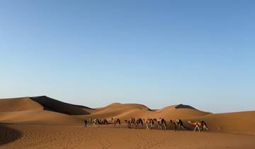 Circuit de 7 jours au Maroc : Marrakech, le Sahara, Fès, Chefchaouen et Casablanca circuit