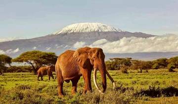 3 days Amboseli National Park Safari. Tour