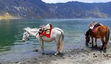 Avontuur op Volcano Avenue – 7 dagen