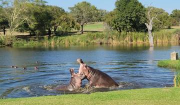South Africa Explorer - 14 days