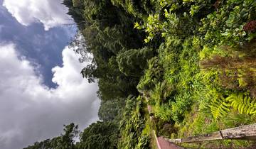 Découvrez le « Hawaï de l\'Europe » : une semaine aux Açores circuit