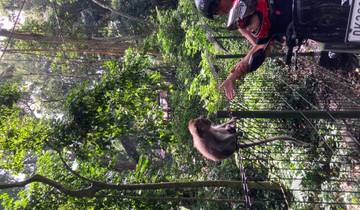 Slow Travel auf Bali Rundreise