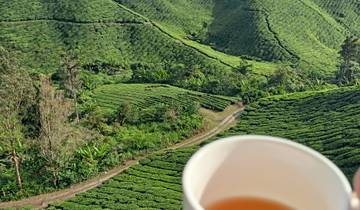 Singapore & Maleisië: Wolkenkrabbers verstopt in de jungle-rondreis
