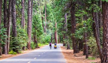 Aventure à Yosemite : road trip de 4 jours