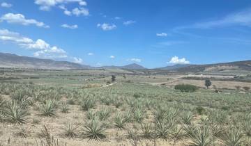 Oaxaca: Mexico's Soul, Unfiltered