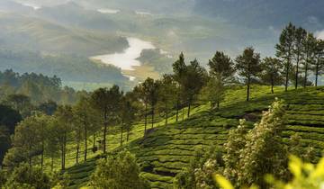 Kerala Tour – Nature, Wildlife & Backwaters | Short Trip India of 3-days Tour