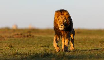 15 Days – The Ultimate Africa Journey: Victoria Falls, Masai Mara, Serengeti & Zanzibar