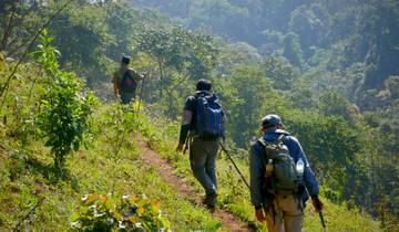 1-daagse tocht naar de Tad Thong-waterval – Houy Thao (Mock Moo-route, moeilijk)
