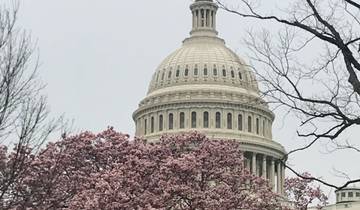Washington, D.C. : un paradis pour les passionnés d\'histoire circuit