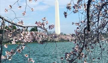 Washington D.C. : le week-end idéal en couple circuit