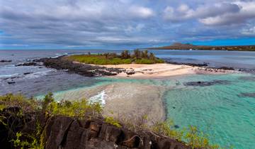 Les trésors des Galápagos : îles occidentales et centrales (Grand Queen Beatriz, 22 destinations)