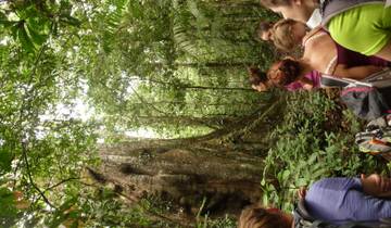 Peru: Between the Condor and the Jaguar Tour