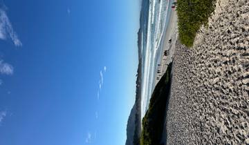 California's Coast: Carmel-by-the-Sea, Monterey, and Big Sur