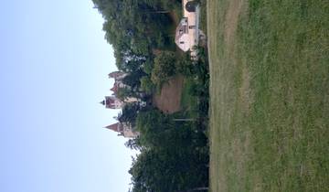Aventure en Transylvanie : ours, montagnes et le château de Dracula