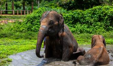 Een blik op Thailand – Kleine groep (Kleine groepen)