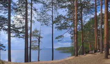 The Spirit of Finland Walking Week