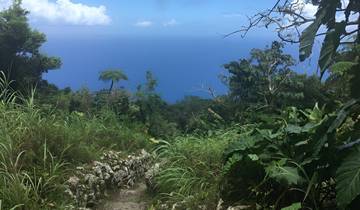 Saint Kitts & Nevis Escape - 3 Days / 2 Nights