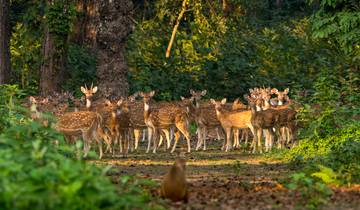 Aktives Nepal: Wanderwege, Flüsse und Tierwelt