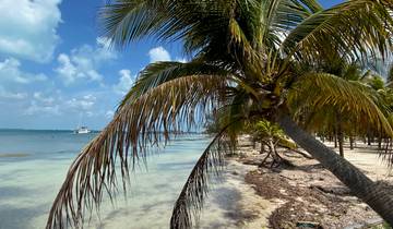 Découvrez la magie du Yucatán