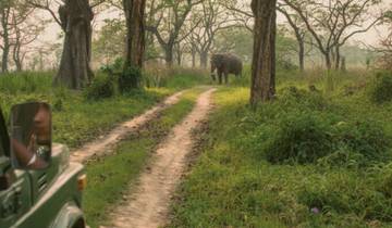 Katmandou et le parc national de Chitwan