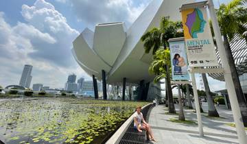 Expedición a Singapur