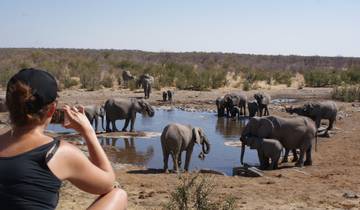 Volunsafari - Safari en camping « Naankuse Classic » en Namibie circuit