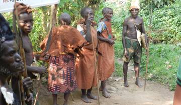 Randonnée à la rencontre des gorilles en Ouganda, dans le parc national de Bwindi circuit