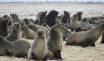 Windhoek to Cape Town Luxury Rail Journey - 7 Days