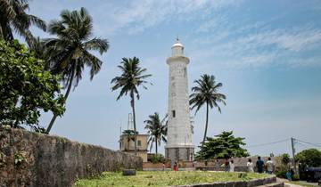 Circuito Circuito por el patrimonio de Sri Lanka de 9 días con fauna salvaje