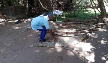 Gambia 8-Day Cultural & Wildlife Tour - Banjul, Kunta Kinteh & River Gambia