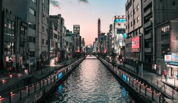 10-Day Japan Discovery Tour by Train: Osaka, Takayama, Tokyo & Mount Fuji